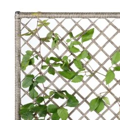 Polyrattan Blumenkasten Mit Rankgitter Creme -Gartenmöbel Geschäft 0c801b2c2bb06fc715420a479a9de32f de 108067d 7