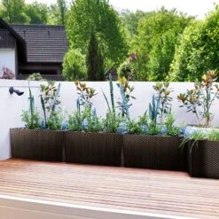 Hochbeet Polyrattanoptik Anthrazit 60x25x46cm 17 Hochbeet Polyrattanoptik Anthrazit 60x25x46cm -Gartenmöbel Geschäft 41f71028deeb88f302fa8d7e9249ed8b de 108518d 4 1 1