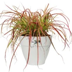 Elho Blumentopf Weiß 35x29cm 18,2L