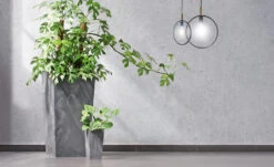 Blumentopf Betonoptik Grau 49L 9 Blumentopf Betonoptik Grau 49L -Gartenmöbel Geschäft 6676197c8e319452b55e786939f3d788 de 881771d 1 1 4