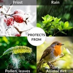 Abdeckung Sitzgarnitur Grün 242x162x100cm -Gartenmöbel Geschäft aa9243c62f87f58b3887cdda708efe17 uk 881867d 2 1 1 1