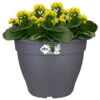 Elho Blumentopf Anthrazit 38x28cm 17L 2 Elho Blumentopf Anthrazit 38x28cm 17L -Gartenmöbel Geschäft bc5293007be75399ea2126afc2b1d08f a de 193667g 1