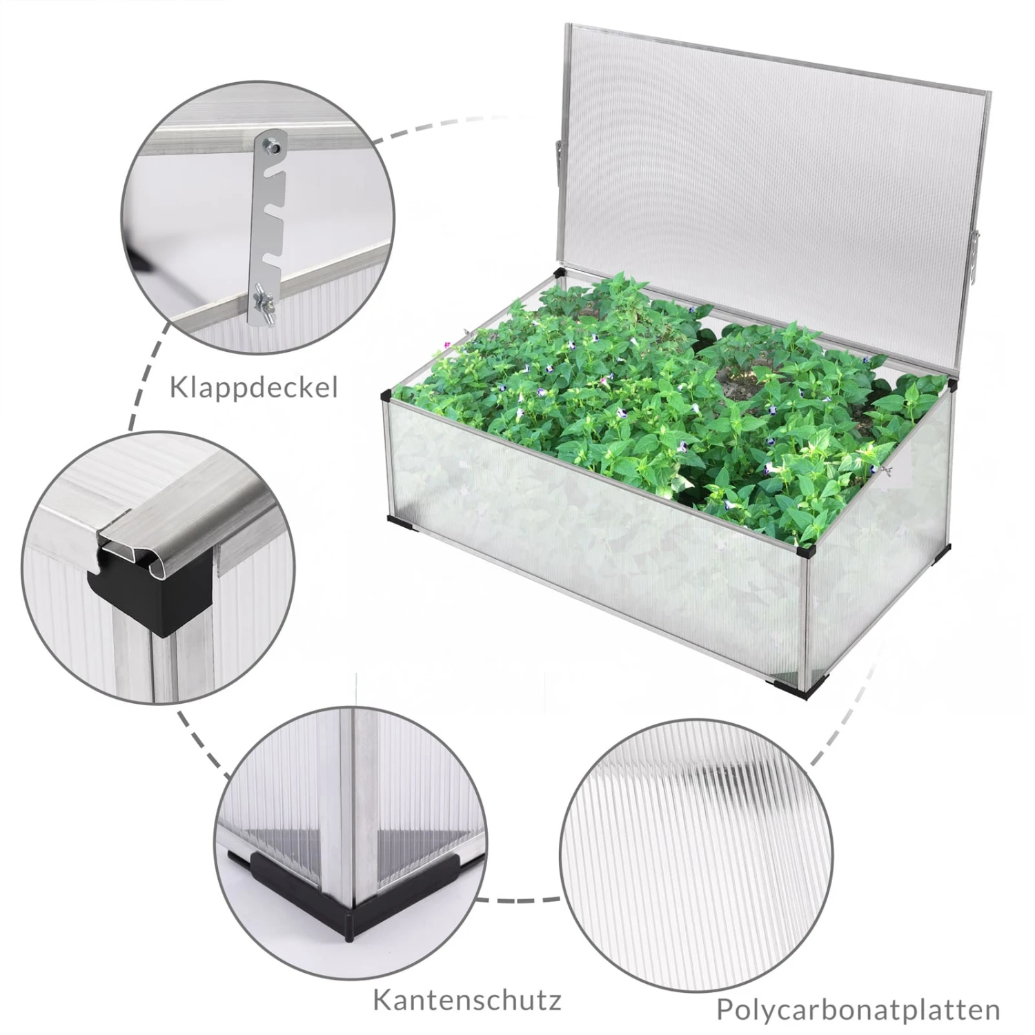 Alu Frühbeet 100x60cm 9 Alu Frühbeet 100x60cm – Bild 7