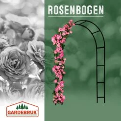 Rosenbogen Schwarz 240x140x37cm 11 Rosenbogen Schwarz 240x140x37cm -Gartenmöbel Geschäft be16f9a5901906c94695cb3d74beafa2 a de 101492g2