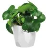 Elho Blumentopf B. For Rock Weiß 14x13cm 1,5L -Gartenmöbel Geschäft ce50b81f89ba020a00c0c29ce1f59be7 de 193653d 1 1 1
