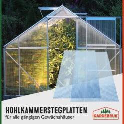 Hohlkammerstegplatten 14er-Set Transparent 10,25m² 36 Hohlkammerstegplatten 14er-Set Transparent 10,25m² -Gartenmöbel Geschäft e2a936295364f726dbbb508475ee75fd 03 101737 on dts web low de 1