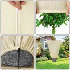 Pflanzenschutzhaube 3er-Set Beige 0,6x0,8m 17 Pflanzenschutzhaube 3er-Set Beige 0,6x0,8m -Gartenmöbel Geschäft ea145c41688be986a7ed0826718d515d de 882190d 3 1 1 1