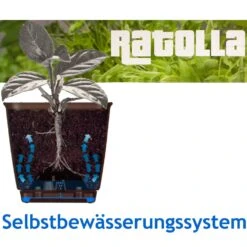 Balkonkasten Ratolla Weiß 49x16x17,5cm -Gartenmöbel Geschäft fd05a767246d58b9ca964fad7e2c2334 de 880701d 1 3