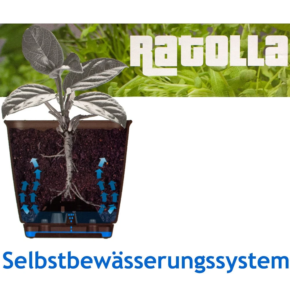 Balkonkasten Ratolla Anthrazit 39x16x14,5cm 4 Balkonkasten Ratolla Anthrazit 39x16x14,5cm – Bild 2